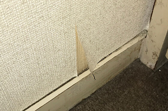 ハガレ